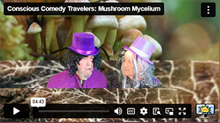 Mushroom