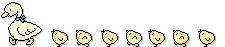 Duck!