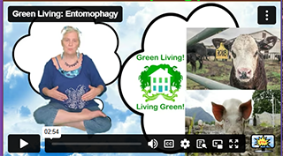Green Living Green Living
