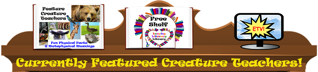 Feature Creature Teachers