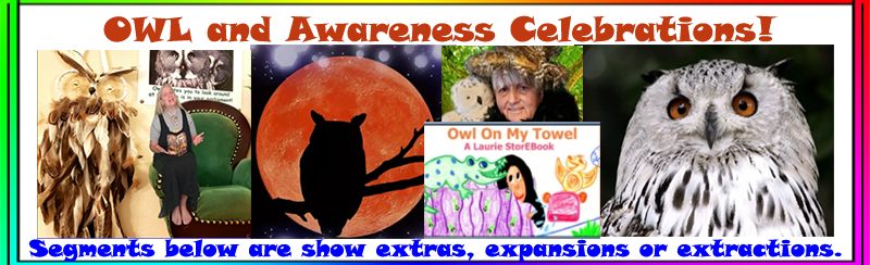 Owl Celebrations