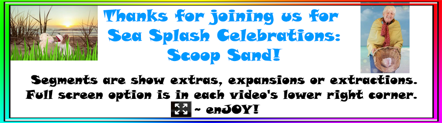 Sea Splash Sand  Celebrations