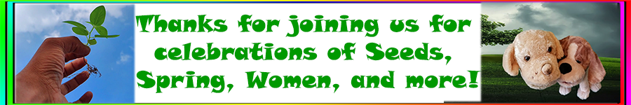 Happy Hearts Horse Celebrations