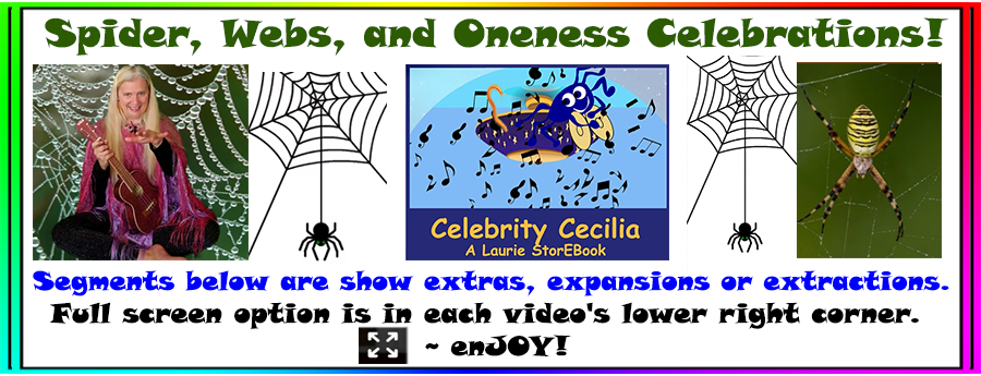 Spider Celebrations Spider Celebrations