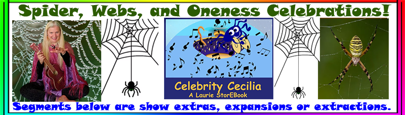 Spider Celebtations