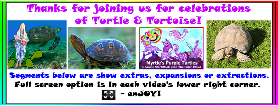 Turtle Celebrations
