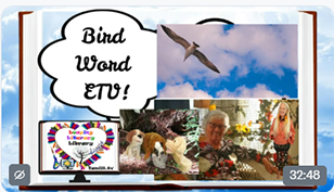 Birthday Bash