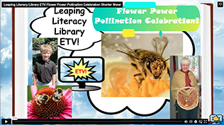 Flower Bee Pollination
