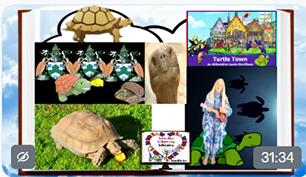 Turtle Celebration