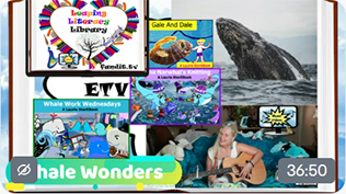 Sea Splash 
Wondrous Whale