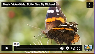 Butterflies