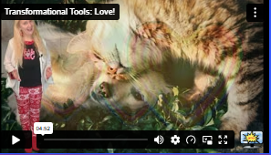 Transformational Tools